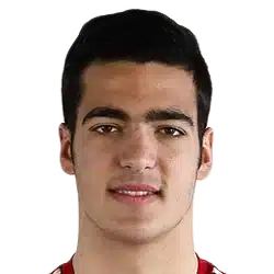 Mikel Merino