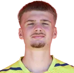 Luka Misimovic