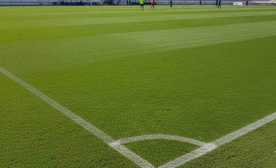 Le terrain du stade Tayeb Mhiri à Sfax récemment