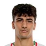 Amirmohammad Razzaghinia