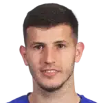 Branimir Cipetic